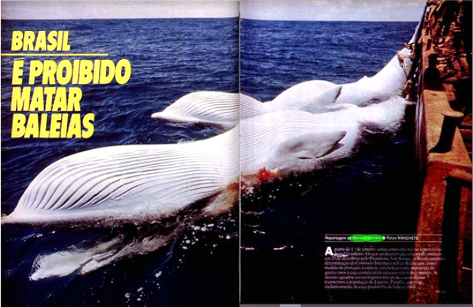 Brasil È proibido matar baleias 28.12.85.png